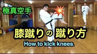 膝蹴りの蹴り方 How to kick knees.