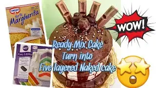 CAMEO READY MIX CAKE | INSTANT CAKE | WILTON LAYERS CAKE PAN