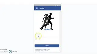 Professional Practice In IT