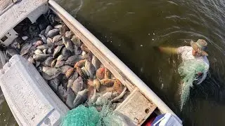 Pesca en Immokalee, FL don Ramon en el agua con los 🐊🐊🐊/ Cruz haciendo tortillas