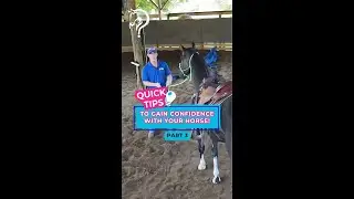 Quick Tips To Gain Confidence With Your Horse! | The Horse Guru-Michael Gascon