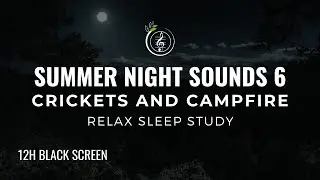 12 Hours of Calming Summer Night Sounds |6| Crickets & Campfire for Sleep and Relaxation