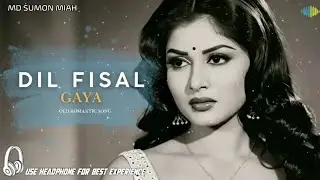 Dil fisal gaya | Old Hindi Romantic Song | Heart Touching 60s-70s Vibe Love Song