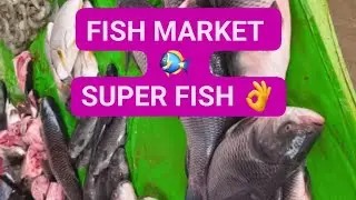 #goodmorning #fishmarket #fisfry #fishcurry @Daily Life 🕉️🙏