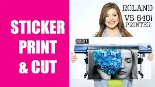 Large Format Printing STICKER PRINT & CUT  ON ROLAND VS 640i