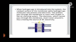 FUELcell