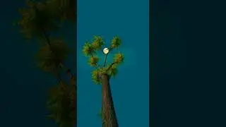Relax with the moon 🌚🌕