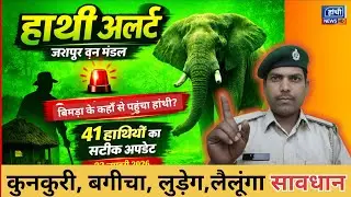 बगीचा में फिर पहुंचा हांथी ||लैलूंगा में भी 🦣 हांथी #bagicha #pathalgaon #lailunga 