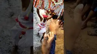 Ramanagara Thalavadi Lingegowda  Habba