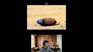 Amazing Animal Growth Journey #animals #funny #cute