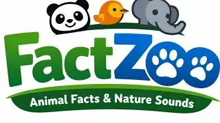 &ldquo;Tiger Facts That Will Blow Your Mind - Wildlife You Must Know&rdquo;