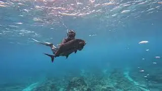 Back in business boys || SPEARFISHING GUAM 2025