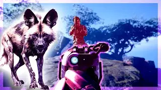 Hunting Exotic Hammers on Tharis Island
