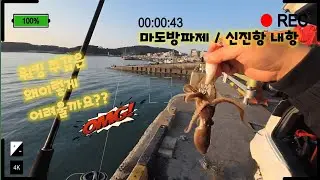 마도방파제/신진항 초보 워킹 쭈갑 앵글러 조행기