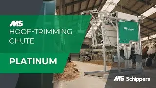 MS Hoof trimming chute Platinum | EN