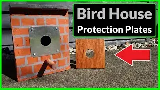 How to Make a Bird House Protection Plate (Predator Proof Bird Box)