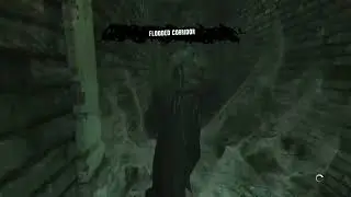 Croc in the Sewer - Batman Arkham Asylum- Part 5