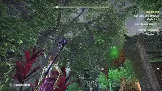 The Elder Scrolls Online: Exorcised Coven Cottage