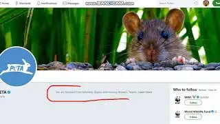Peta Blocked Me on Twitter