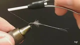 MoleFly2
