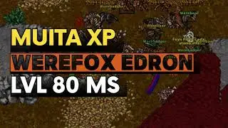 TIBIA: HUNT XP LVL 80 MS. WEREFOX EDRON. NEW SERVER (UNEBRA)