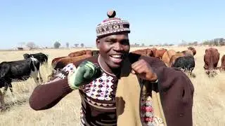 Katiba Promo EXPOSED Is It REALLY Better Than Other Promos?