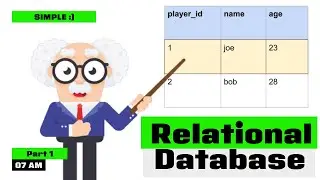 What is a Relational Database? | Tuple, Attribute, Atomic Domain, Relation Schema, Database Schema