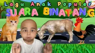 SUARA BINATANG Lagu Lucu Si Botak - Original Song By Kbeeb Sing TV #suarabinatang #laguanak