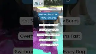 ☀️ Summer fun isn&rsquo;t always safe for our furry friends.