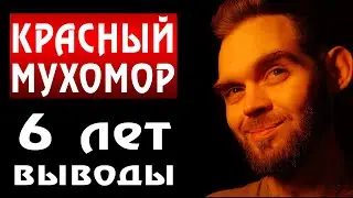 КРАСНЫЙ МУХОМОР - ПОЛНЫЙ РАЗБОР (Эффекты | Биохимия | Дозировки | Личный опыт)