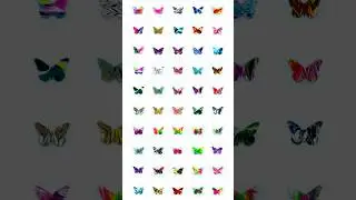 Introducing: The Butterfly Project 🦋