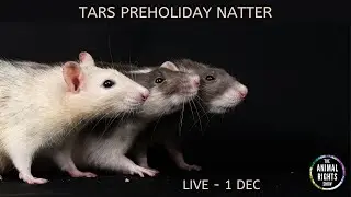 TARS PREHOLIDAY NATTER