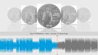 David R Maddocks - Revo - Society 3.0 Recordings