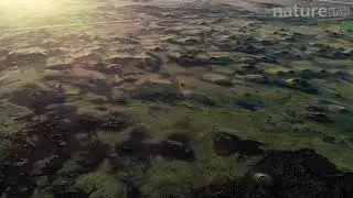 Aerial shot of rootless cones or pseudocraters, formed by steam explosions as flowing hot lava cross