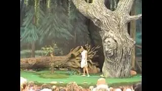 Pocahontas and Her Forest Friends at Disney's Animal Kingdom (2006)