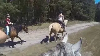 Reiten im Wald