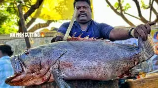KASIMEDU 🔥 SPEED SELVAM | HUGE GROUPER FISH CUTTING VIDEO | 4K VIDEO | KM FISH CUTTING