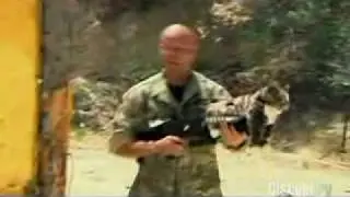 cat-gun