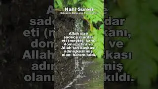 744-) Nahl S&uuml;resi (114-116) T&uuml;rk&ccedil;e Kuran Hatmi #hatim #motivation #psikoloji