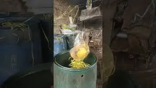 plastic Dori making machine Faisalabad