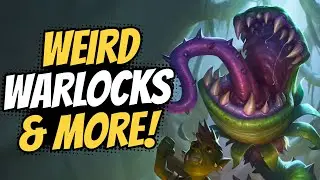 Weird Disrupt & Hand Warlock Decks! | Hearthstone
