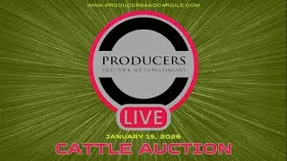 1/15/2026 - Cattle Auction - Producers Livestock Auction Company