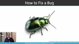 How to Fix a Bug