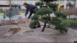 Tilling the Zen Garden 1 - ASMR Calming Background Video