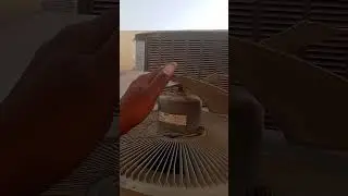 motor winding born out