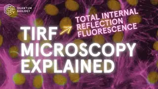 What Is TIRF Microscopy?