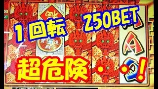 １回転250BETの超危険なメダルゲームのスロットに挑戦してみた結果・・！？