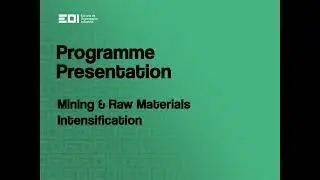 Mining and Raw Materials MBA