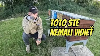 Včelársky silvestrovský špeciál 🥂🍾