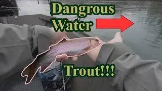 FAST water Trout fishing in the RAIN!!!